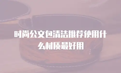 时尚公文包清洁推荐使用什么材质最好用