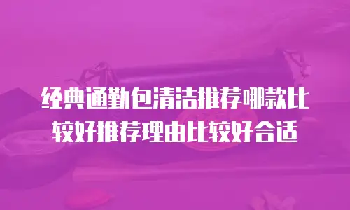 经典通勤包清洁推荐哪款比较好推荐理由比较好合适