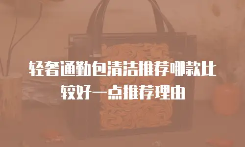 轻奢通勤包清洁推荐哪款比较好一点推荐理由