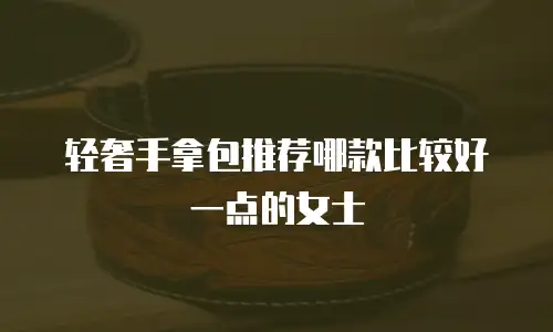 轻奢手拿包推荐哪款比较好一点的女士