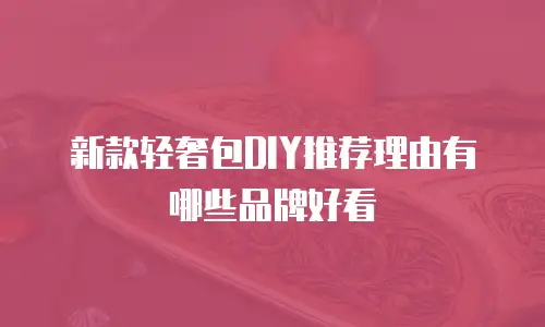 新款轻奢包DIY推荐理由有哪些品牌好看