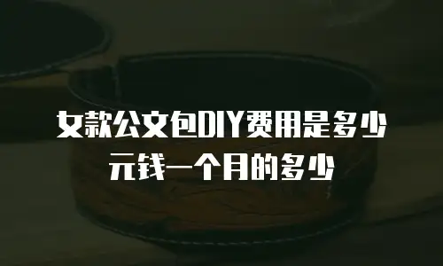 女款公文包DIY费用是多少元钱一个月的多少