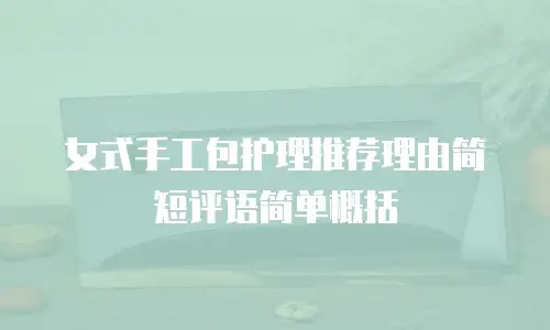女式手工包护理推荐理由简短评语简单概括