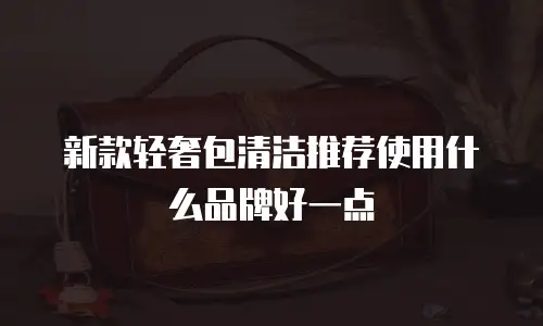 新款轻奢包清洁推荐使用什么品牌好一点