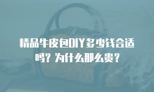 精品牛皮包DIY多少钱合适吗？为什么那么贵？