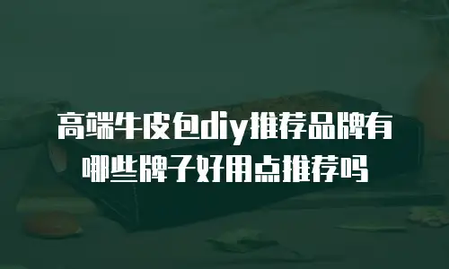 高端牛皮包diy推荐品牌有哪些牌子好用点推荐吗