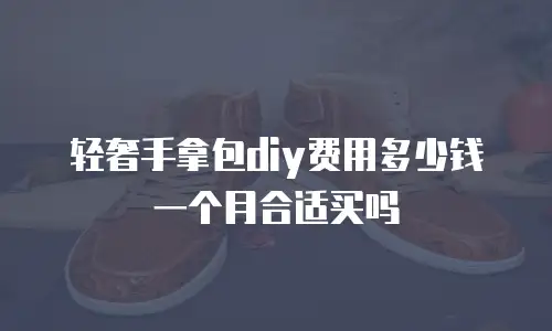 轻奢手拿包diy费用多少钱一个月合适买吗