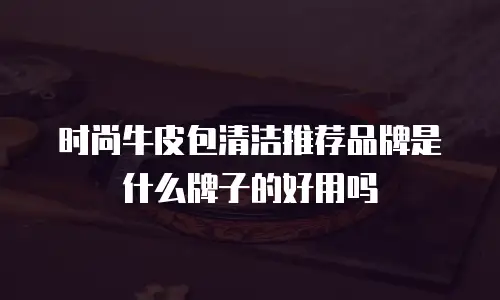 时尚牛皮包清洁推荐品牌是什么牌子的好用吗