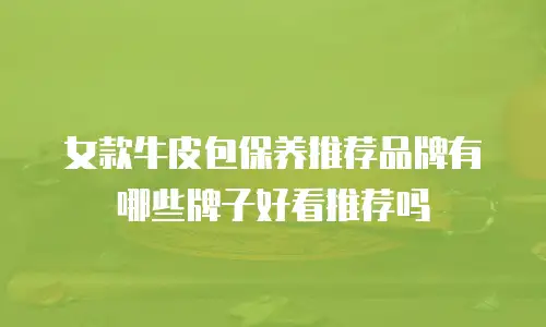 女款牛皮包保养推荐品牌有哪些牌子好看推荐吗