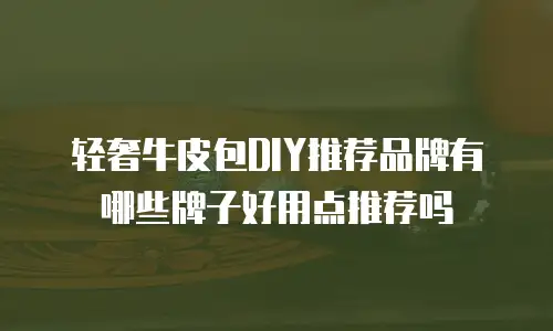 轻奢牛皮包DIY推荐品牌有哪些牌子好用点推荐吗