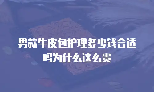 男款牛皮包护理多少钱合适吗为什么这么贵