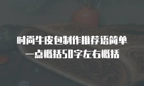 时尚牛皮包制作推荐语简单一点概括50字左右概括