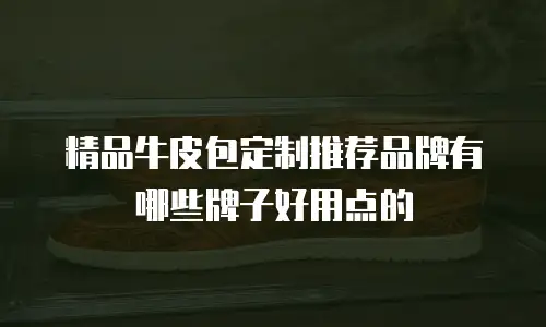 精品牛皮包定制推荐品牌有哪些牌子好用点的