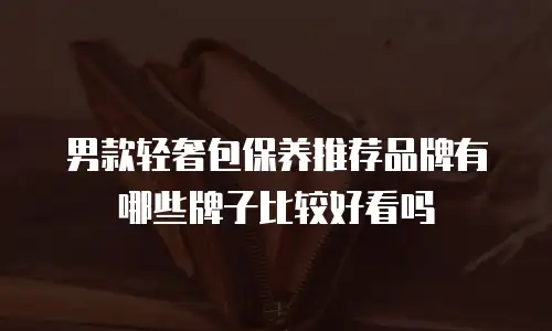 男款轻奢包保养推荐品牌有哪些牌子比较好看吗