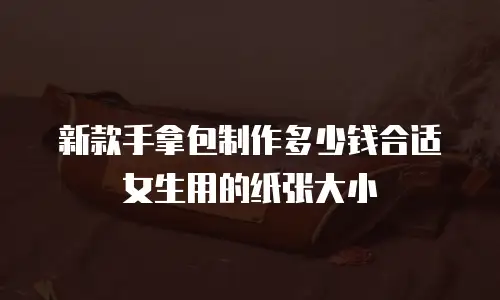 新款手拿包制作多少钱合适女生用的纸张大小