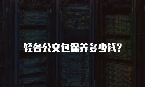 轻奢公文包保养多少钱？
