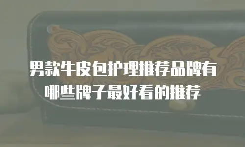 男款牛皮包护理推荐品牌有哪些牌子最好看的推荐