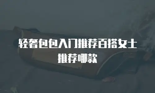 轻奢包包入门推荐百搭女士推荐哪款