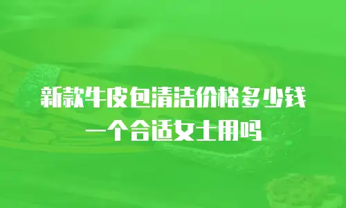 新款牛皮包清洁价格多少钱一个合适女士用吗