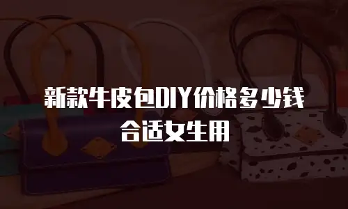 新款牛皮包DIY价格多少钱合适女生用