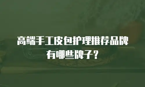 高端手工皮包护理推荐品牌有哪些牌子？