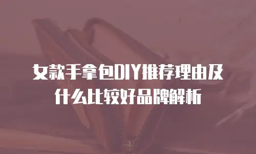 女款手拿包DIY推荐理由及什么比较好品牌解析