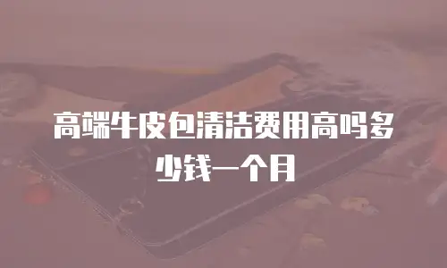 高端牛皮包清洁费用高吗多少钱一个月
