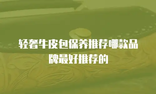 轻奢牛皮包保养推荐哪款品牌最好推荐的
