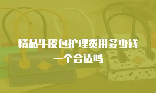 精品牛皮包护理费用多少钱一个合适吗