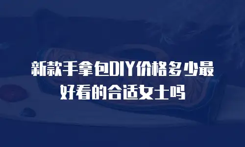 新款手拿包DIY价格多少最好看的合适女士吗