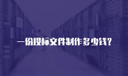 一份投标文件制作多少钱？