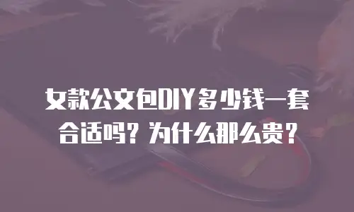 女款公文包DIY多少钱一套合适吗？为什么那么贵？