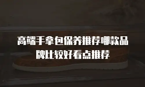 高端手拿包保养推荐哪款品牌比较好看点推荐