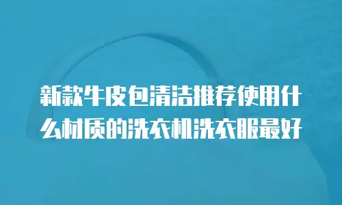 新款牛皮包清洁推荐使用什么材质的洗衣机洗衣服最好