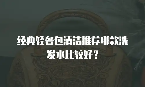 经典轻奢包清洁推荐哪款洗发水比较好？