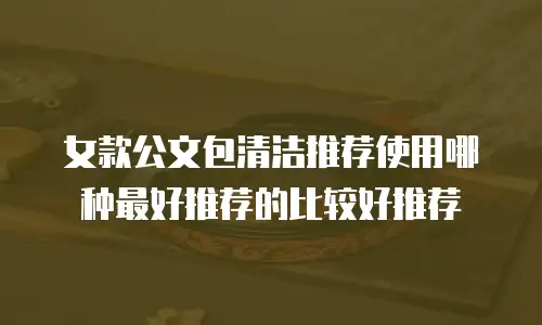 女款公文包清洁推荐使用哪种最好推荐的比较好推荐