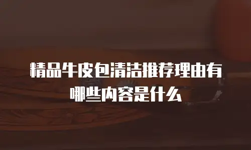 精品牛皮包清洁推荐理由有哪些内容是什么