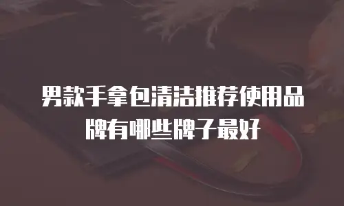 男款手拿包清洁推荐使用品牌有哪些牌子最好
