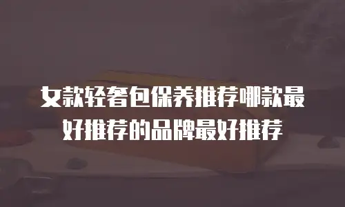 女款轻奢包保养推荐哪款最好推荐的品牌最好推荐