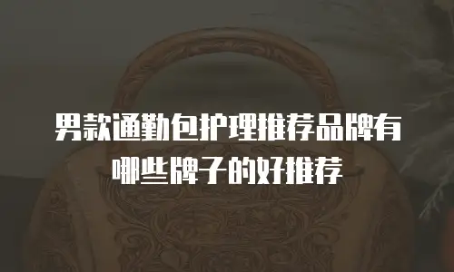 男款通勤包护理推荐品牌有哪些牌子的好推荐