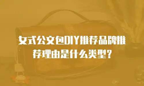 女式公文包DIY推荐品牌推荐理由是什么类型？