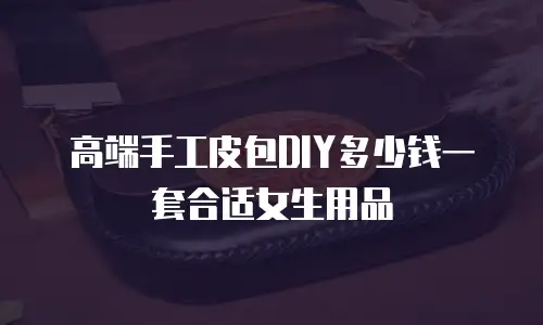 高端手工皮包DIY多少钱一套合适女生用品