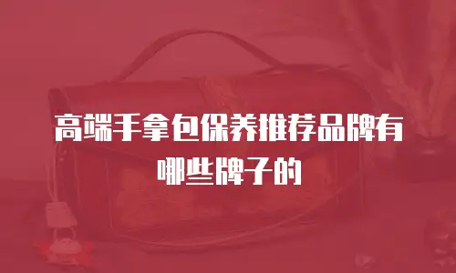 高端手拿包保养推荐品牌有哪些牌子的