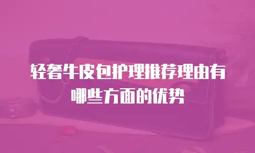 轻奢牛皮包护理推荐理由有哪些方面的优势