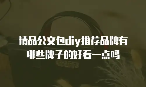 精品公文包diy推荐品牌有哪些牌子的好看一点吗