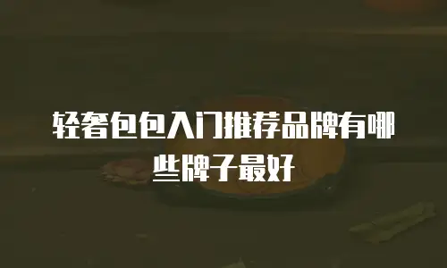 轻奢包包入门推荐品牌有哪些牌子最好