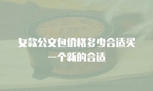 女款公文包价格多少合适买一个新的合适