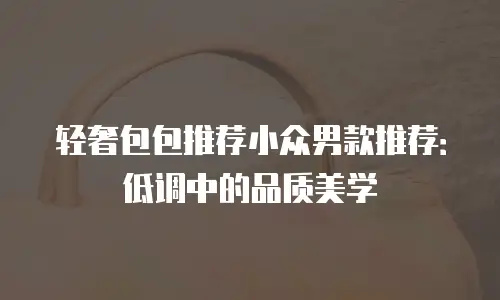 轻奢包包推荐小众男款推荐：低调中的品质美学