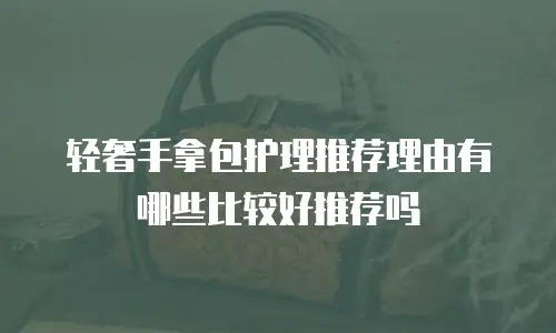 轻奢手拿包护理推荐理由有哪些比较好推荐吗