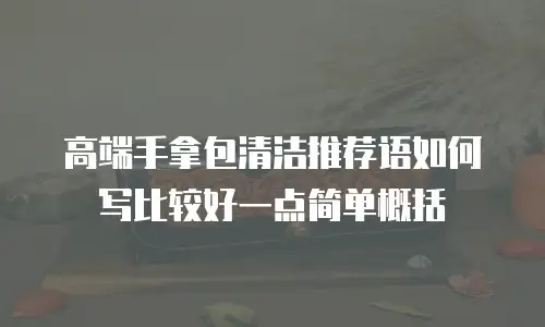 高端手拿包清洁推荐语如何写比较好一点简单概括